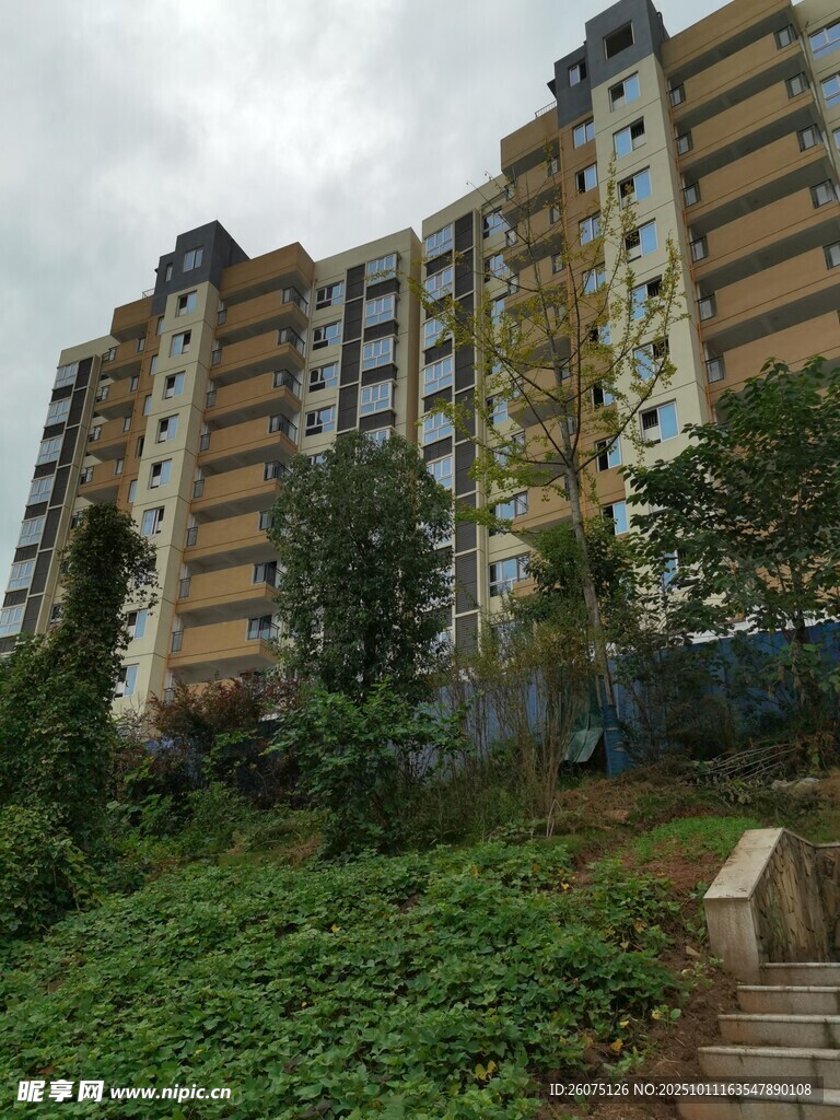 高层住宅旁的绿植景观