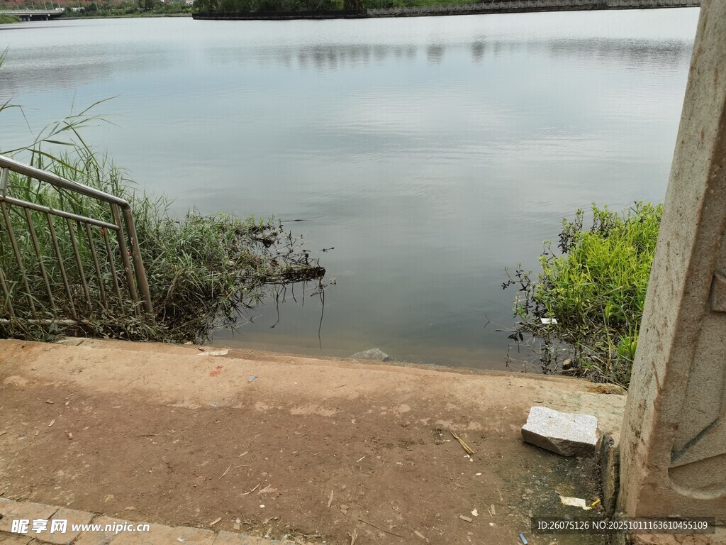 宁静湖边景致