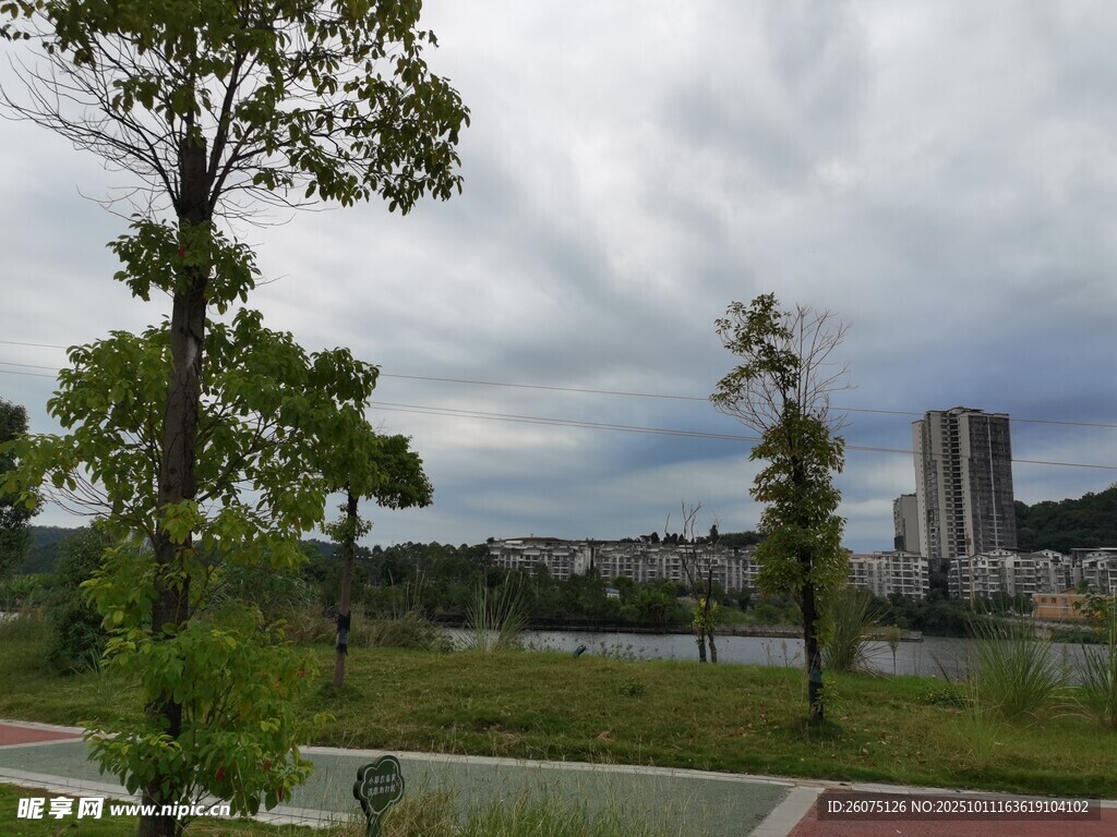城市边的绿意河畔风景