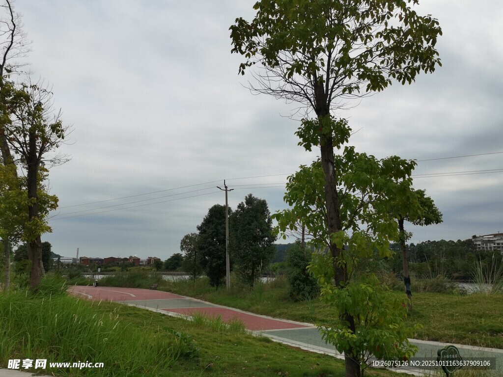 乡村绿意盎然的道路风景