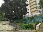城市中绿植环绕的阶梯