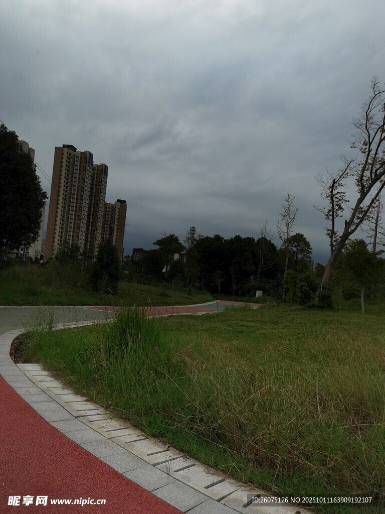 城市中的绿地与蜿蜒步道