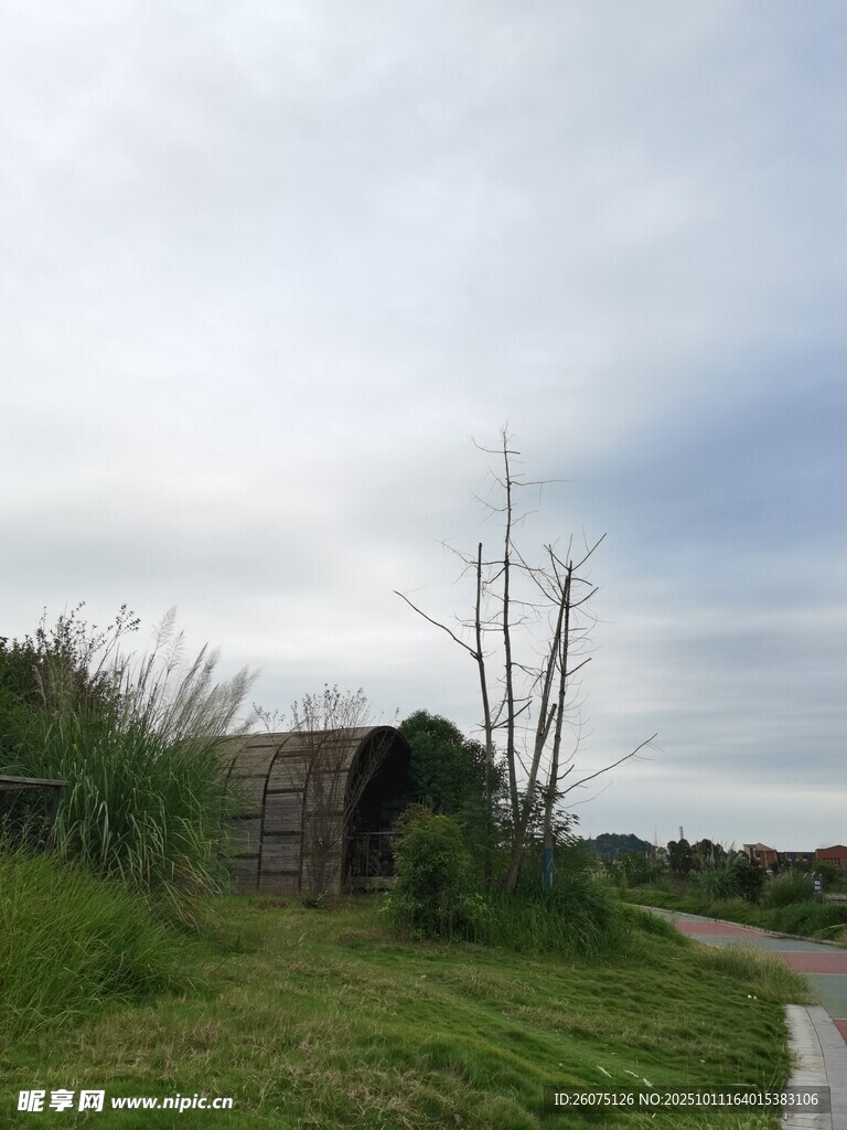 乡村小屋旁的宁静风景