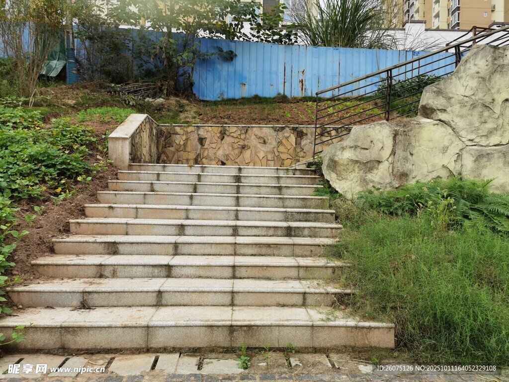 户外石阶旁的绿植景观