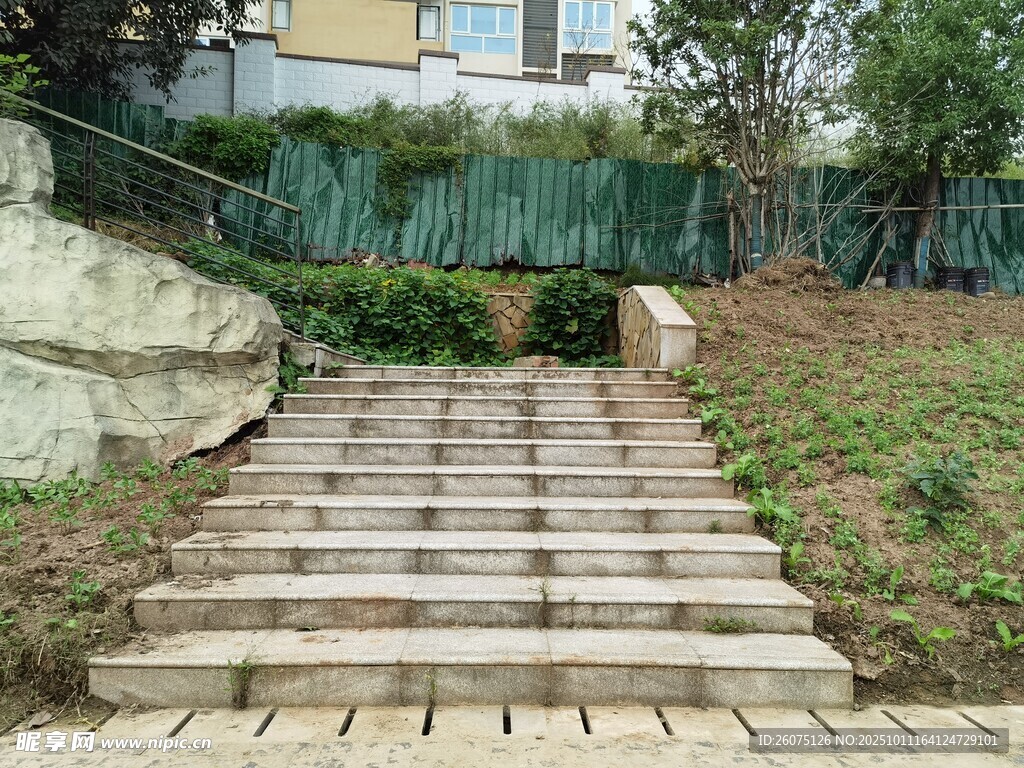 户外石阶旁的绿植景观