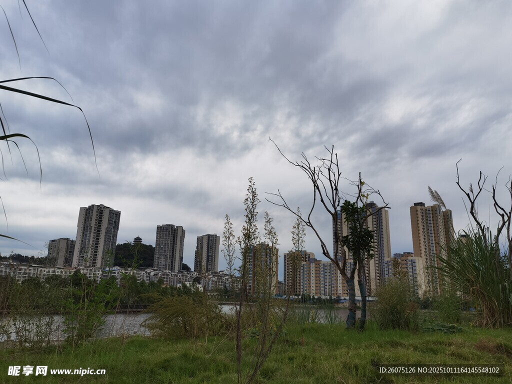 城郊风景高楼与草木相映