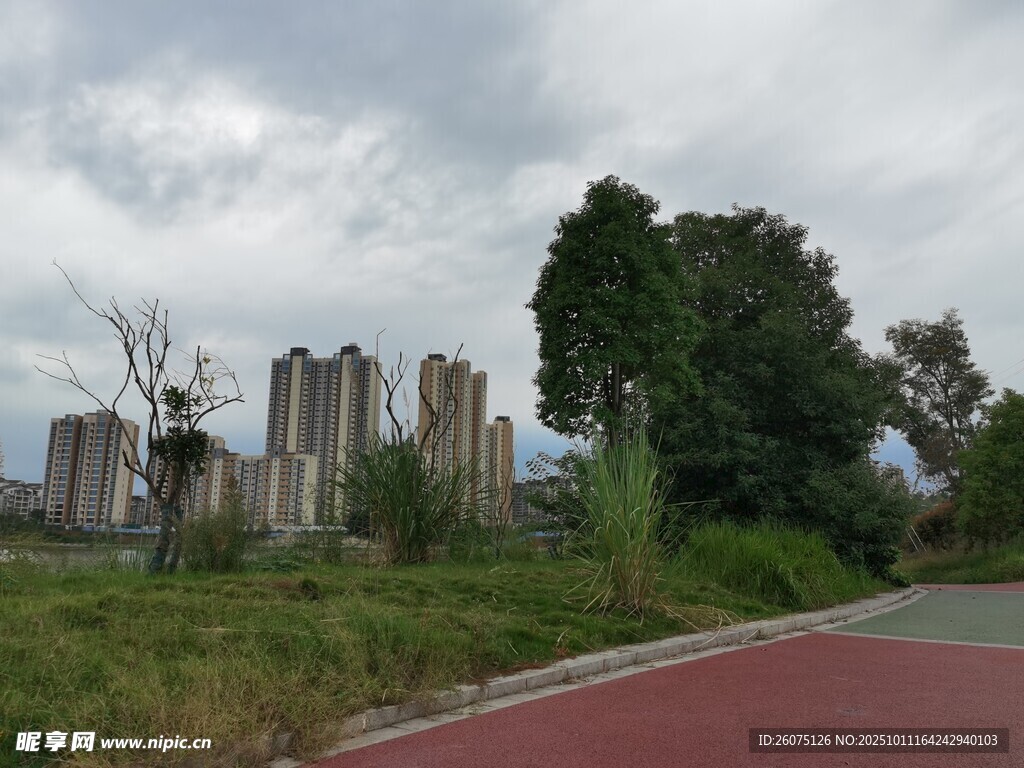 城郊道路旁的高楼与绿植