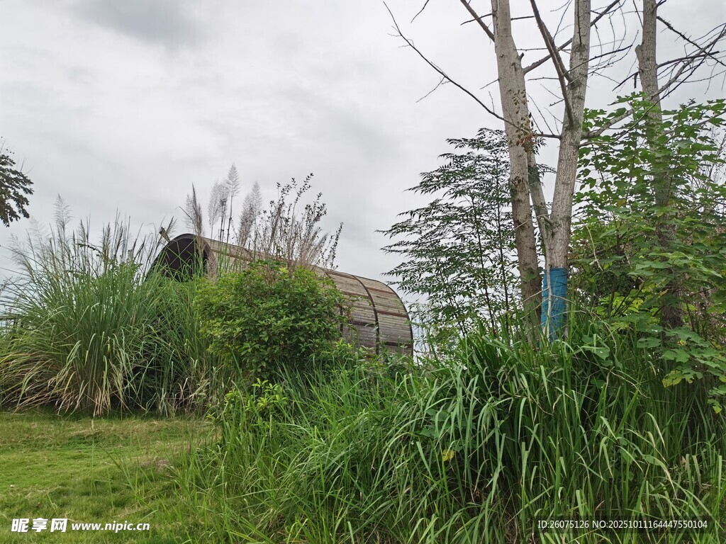 乡村野外的废弃小屋