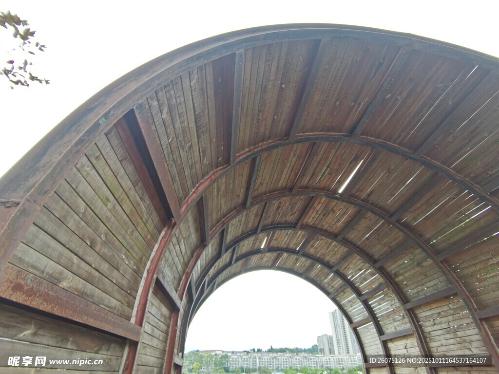 弧形木质建筑独特景观