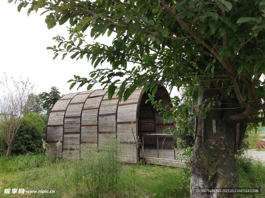 乡村林间的古朴小屋
