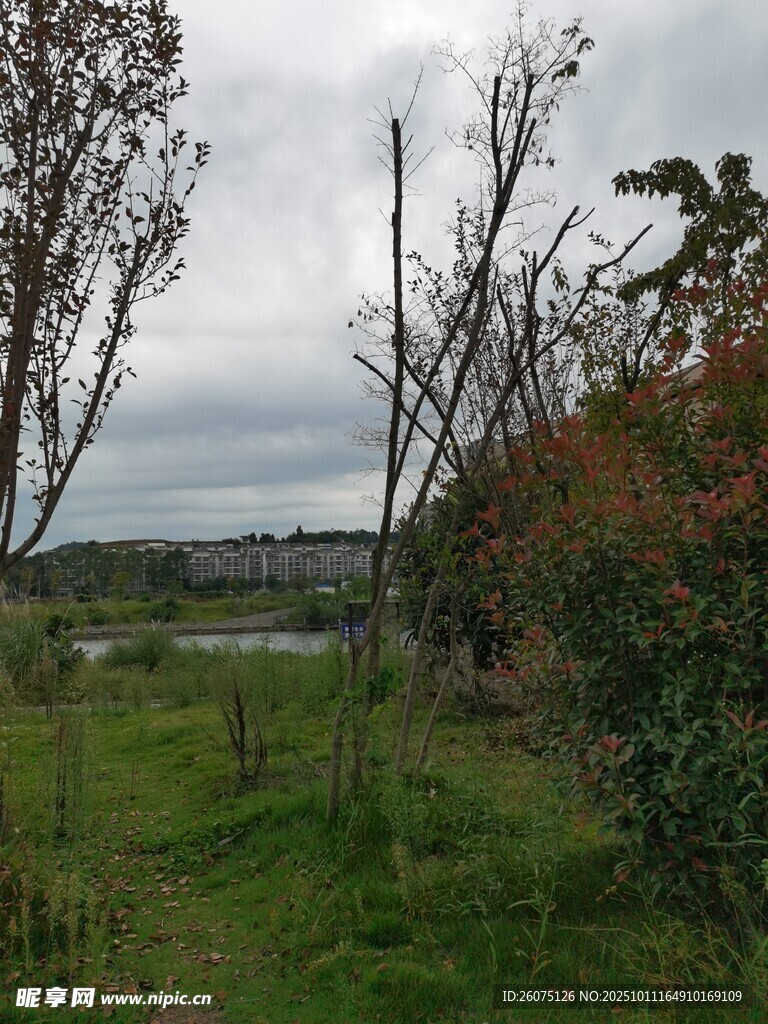 乡村野外风景