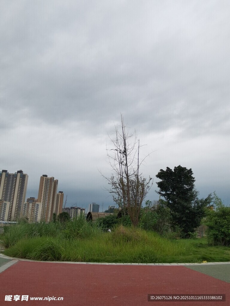 阴天的户外运动场景观
