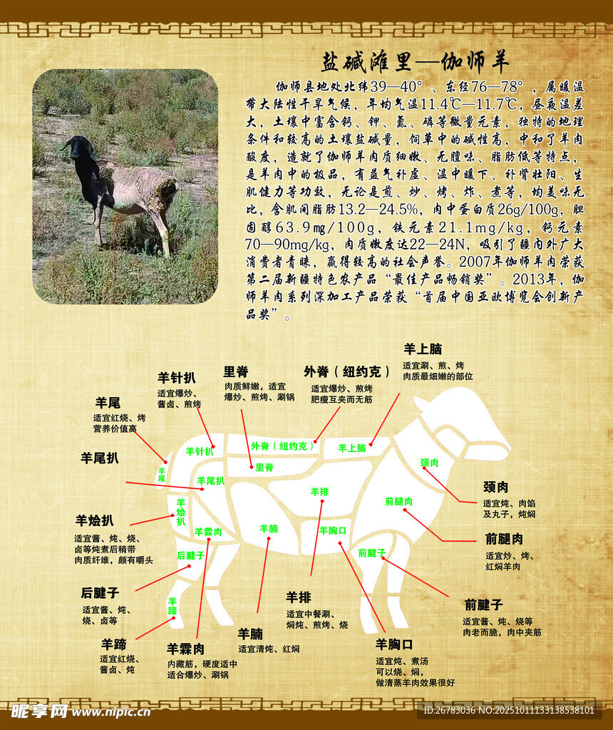 伽师县羊简介