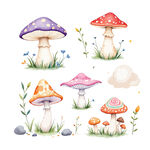 水彩蘑菇插画