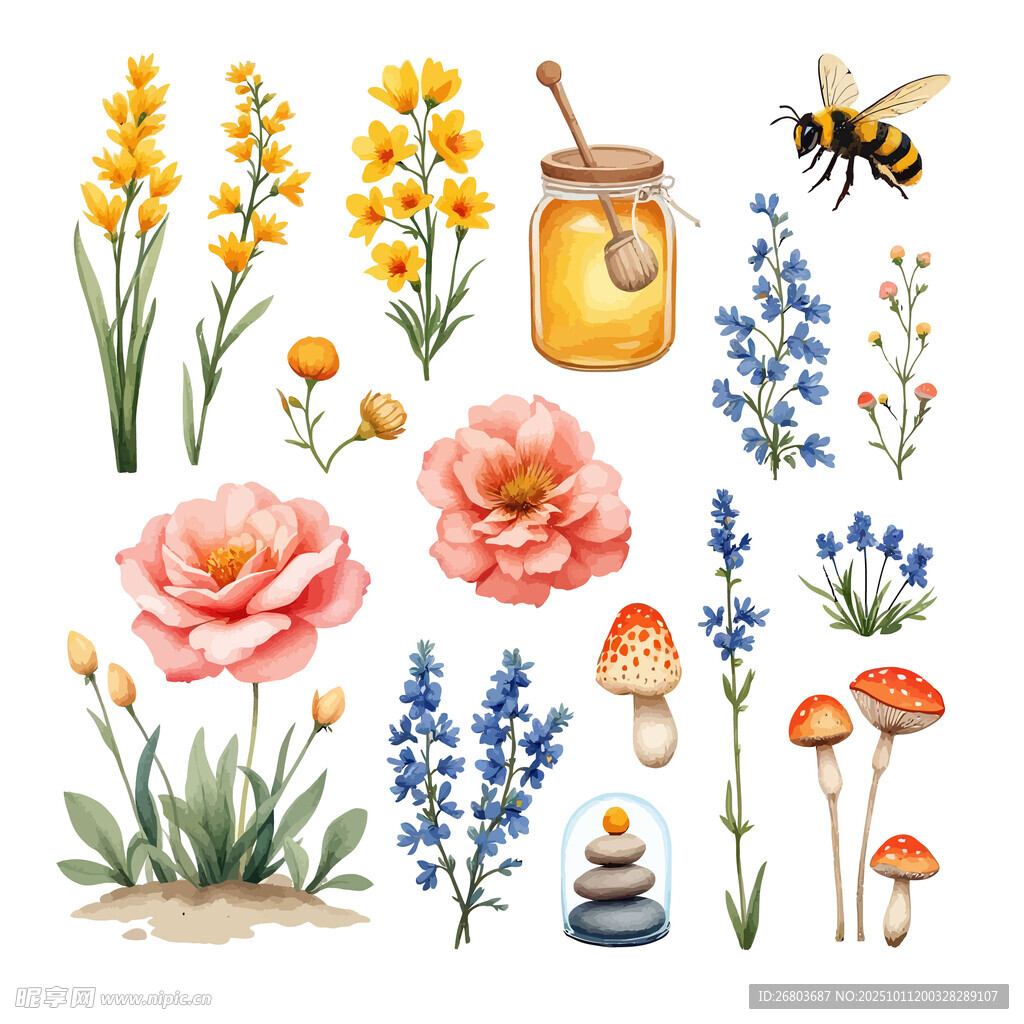 花卉蜜蜂蘑菇水彩插画