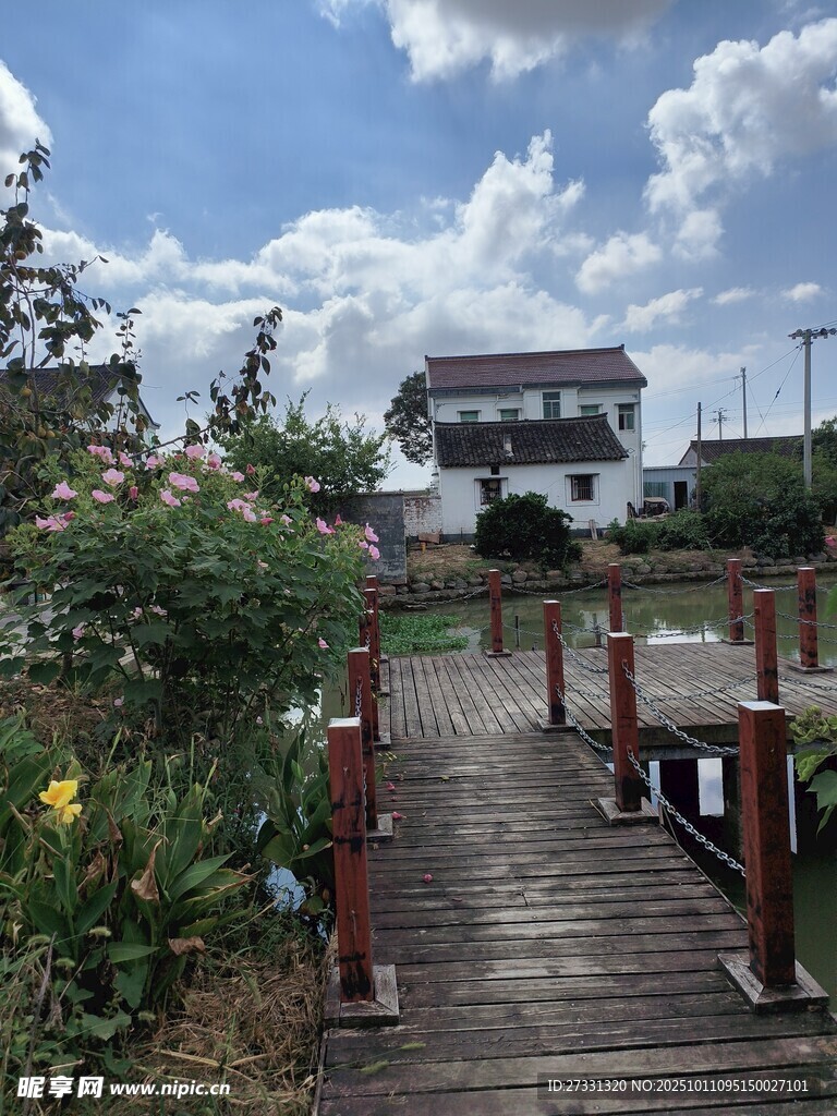 乡村木栈道旁的宁静景致