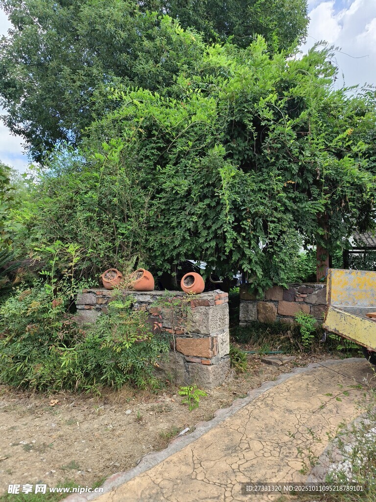 庭院绿植旁的古朴陶罐