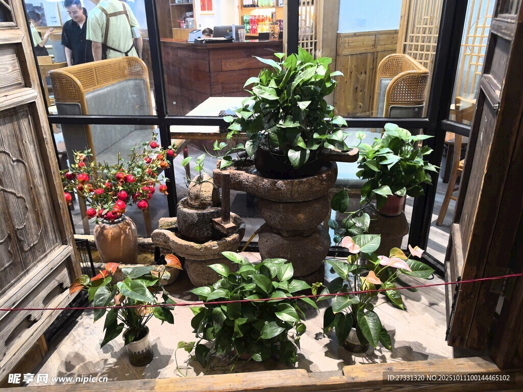 室内多层绿植景观布置