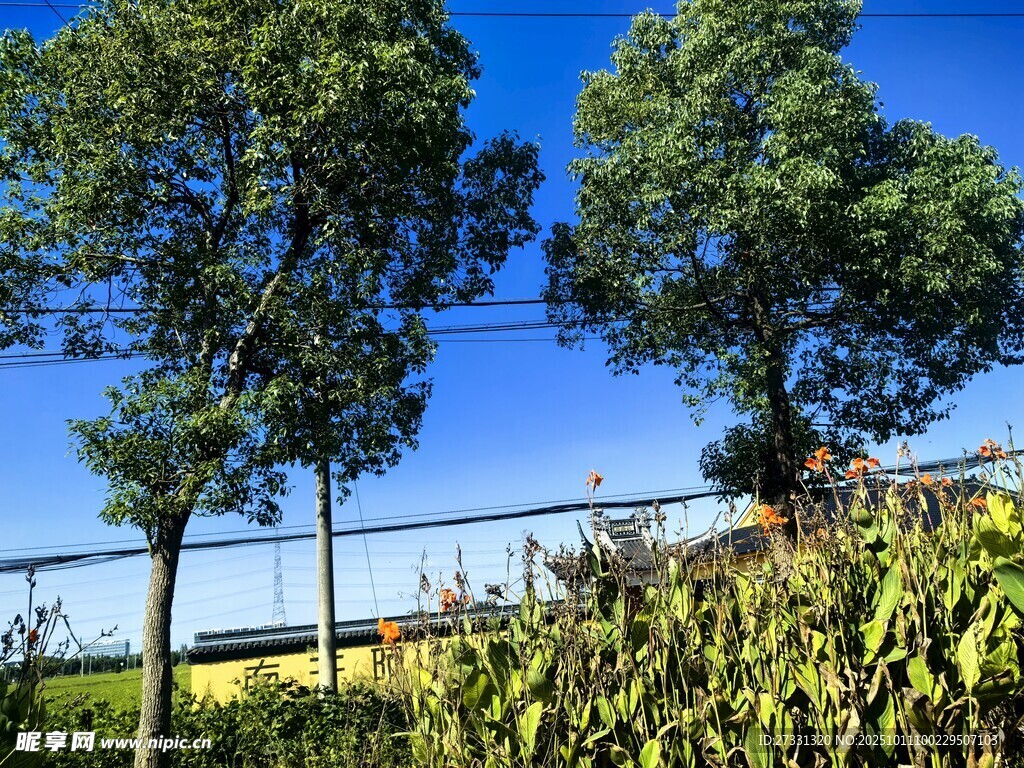 蓝天绿树旁的田园景致