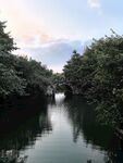 宁静河畔绿树环绕的美景