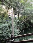 林中观景台