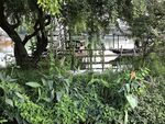 繁茂绿植环绕的户外景致