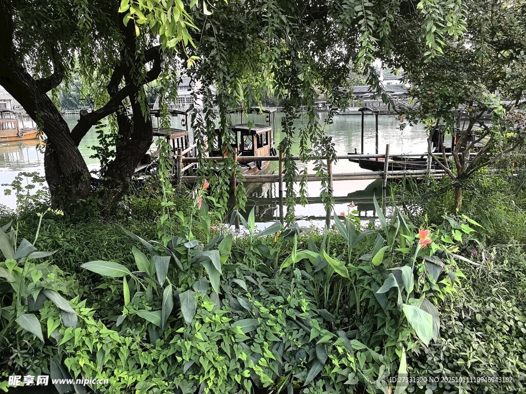 繁茂绿植环绕的户外景致