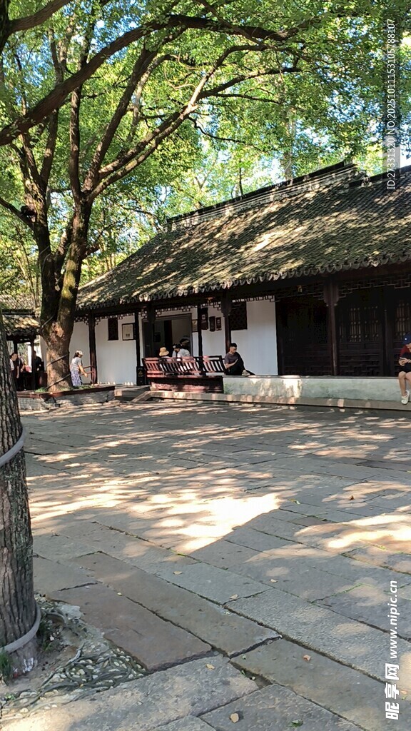 古雅庭院中的闲适场景