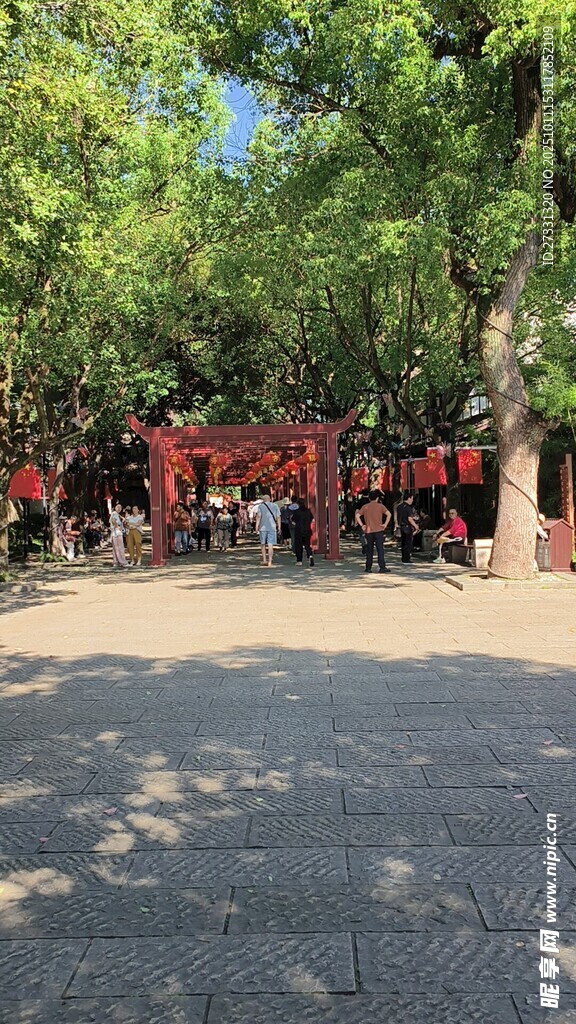 绿树成荫的热闹休闲广场