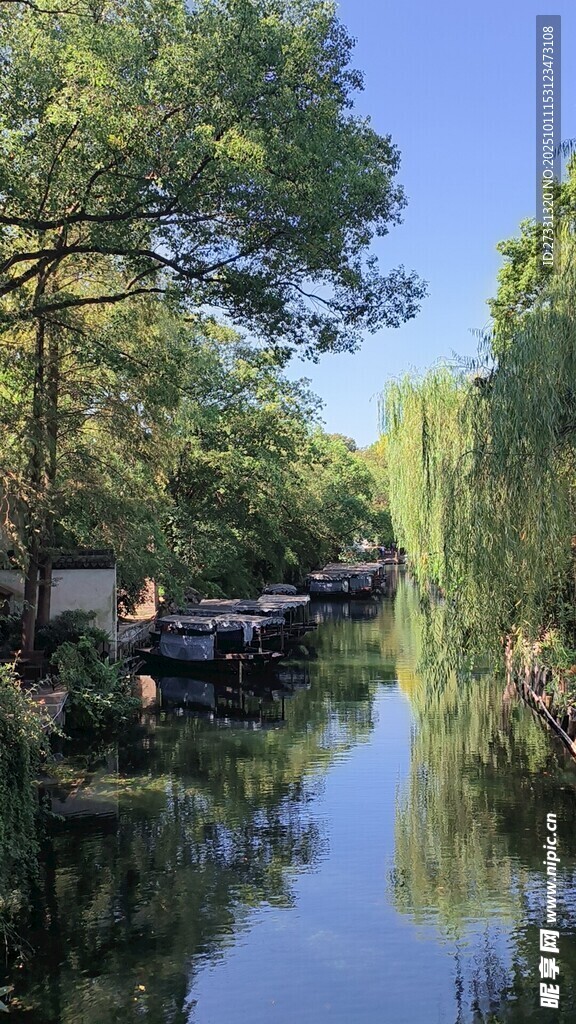 宁静河畔风景