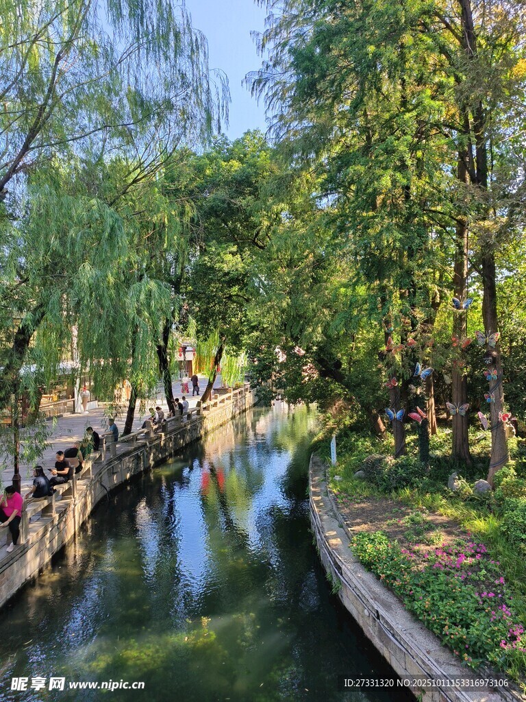河畔绿树成荫的静谧风光
