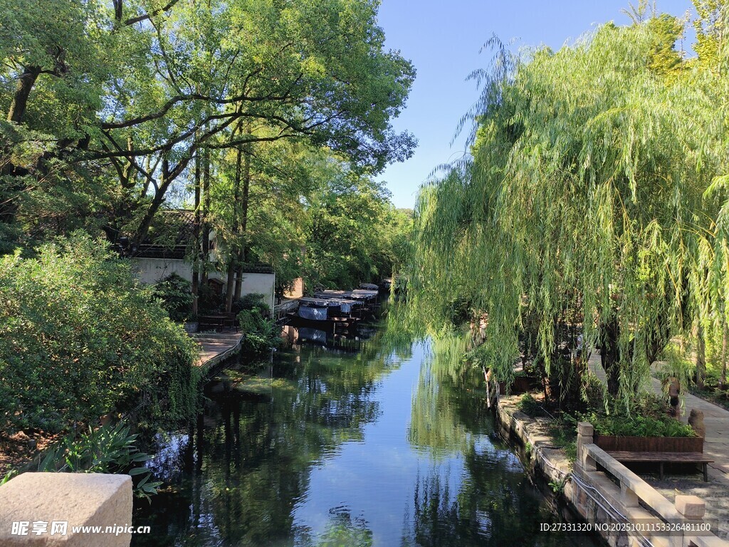 河畔绿荫景
