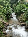 山涧水流