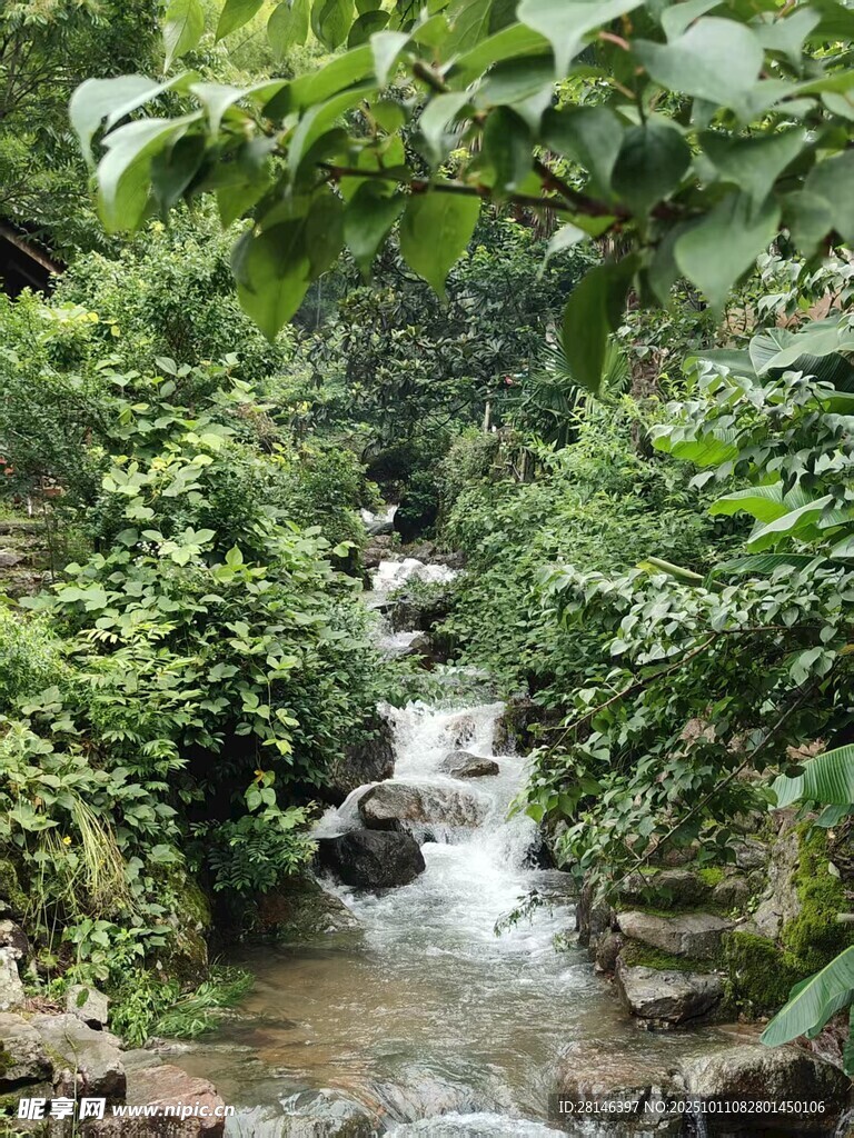 小溪