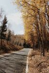 秋日林间小路