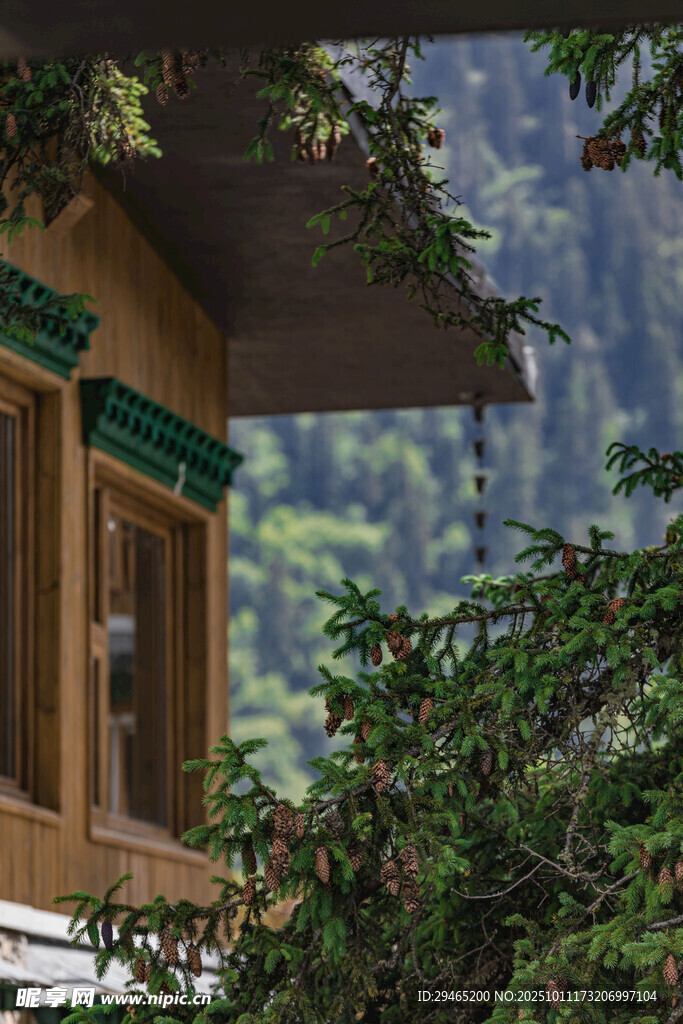 山林中的木质小屋