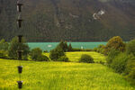田园湖畔美景