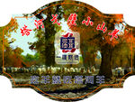 胡杨林