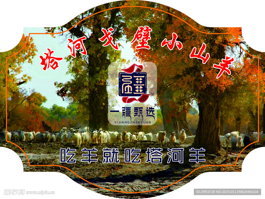 胡杨林