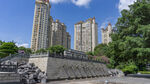 城市河畔高楼与绿树景观