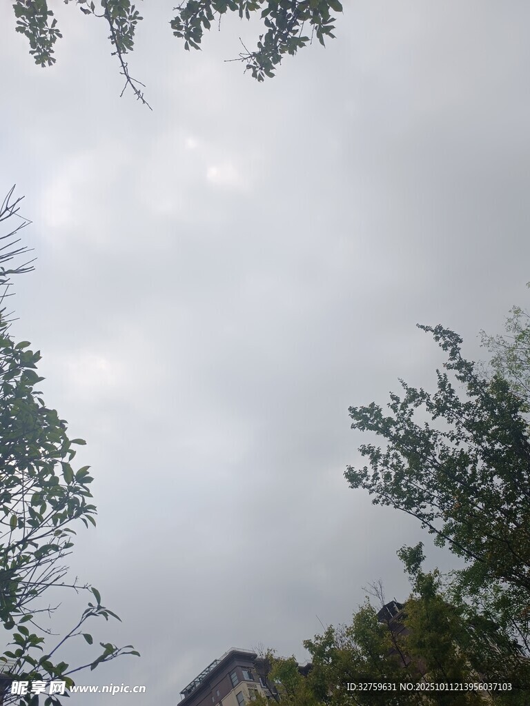 阴天中树木与隐约建筑