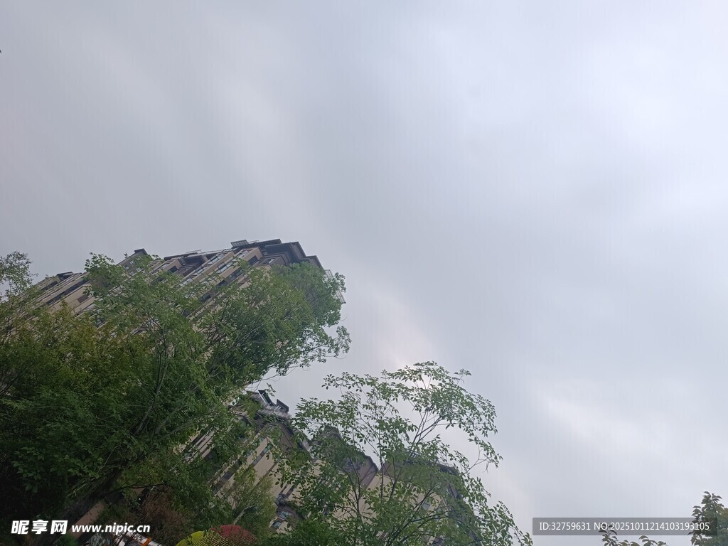 阴天中的楼宇与绿植