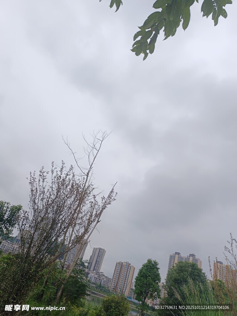 阴天城市中的绿植景观