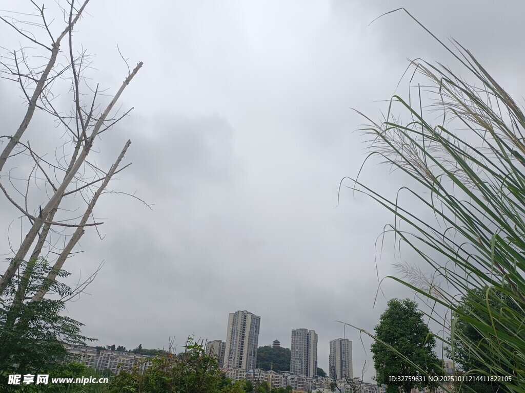 阴天城市与草木景观