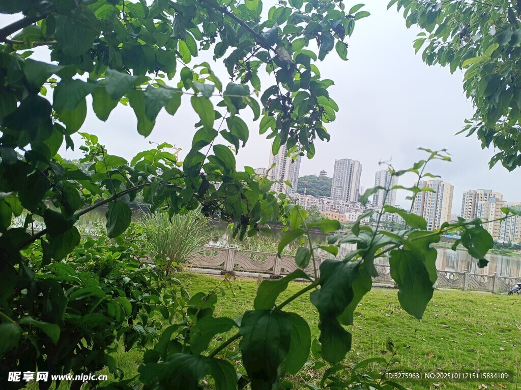 绿叶掩映下的城市远景