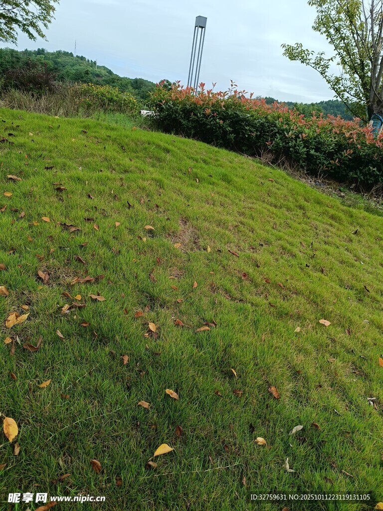 绿意盎然的草地与远处灯塔