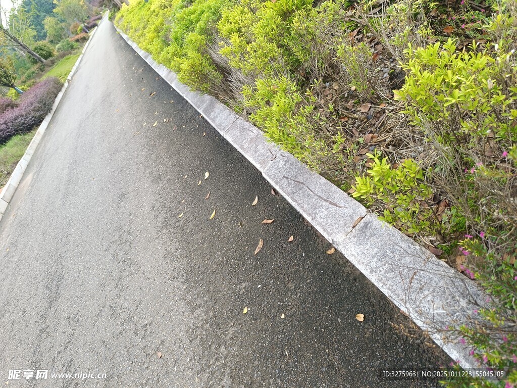 路边绿植旁的平整小路