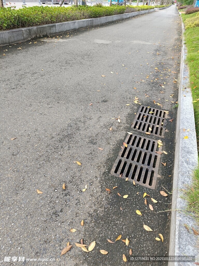 路边排水口及散落的树叶