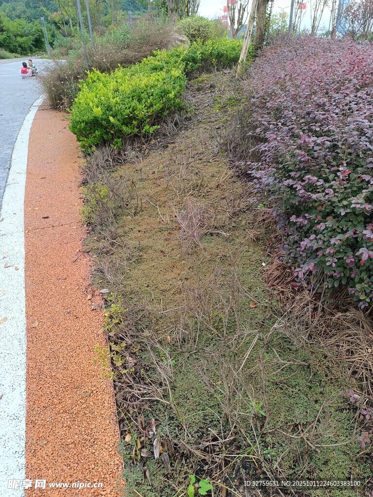 户外彩色步道与绿植景观
