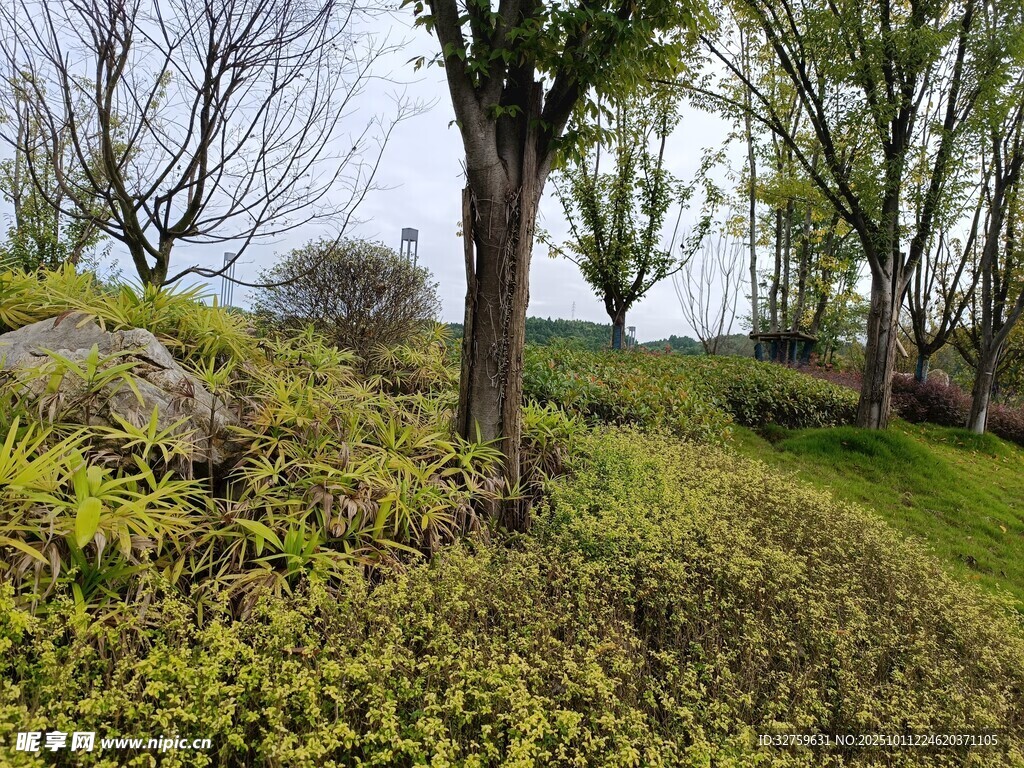 春日郊野绿意盎然景色